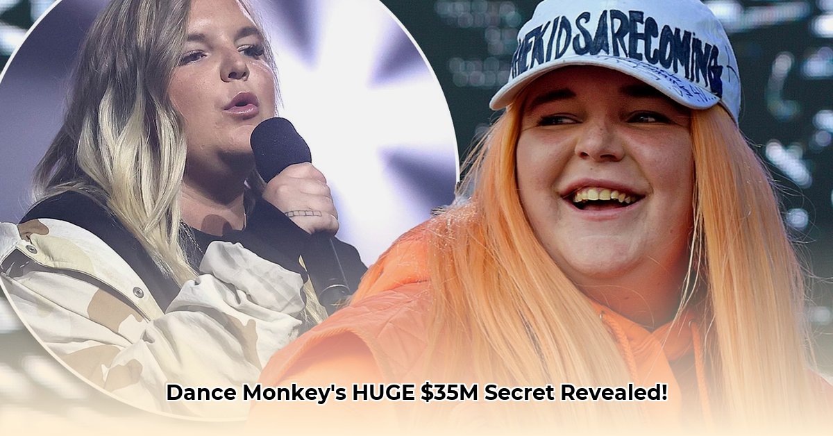 dance-monkey-net-worth